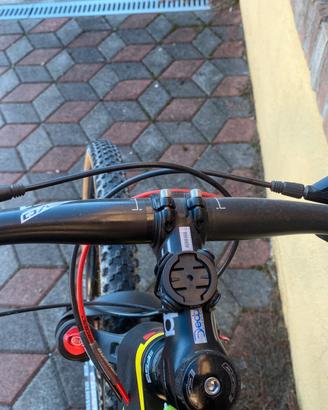 Mountain Bike Olympia