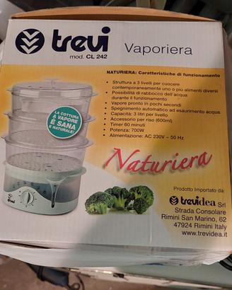 vaporiera elettrica 