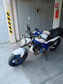 Suzuki gladius