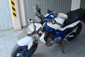 Suzuki gladius