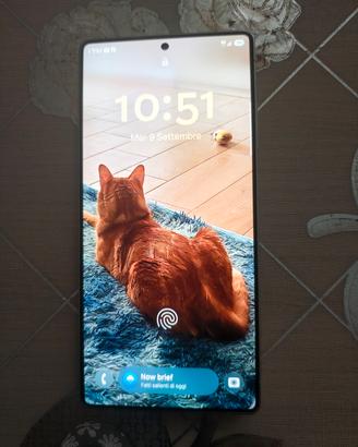 Samsung  S25 Ultra 12/512