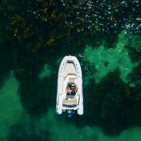 Gommone Capelli Tempest 570+Motore P.Consegna