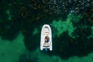 Gommone Capelli Tempest 570+Motore P.Consegna