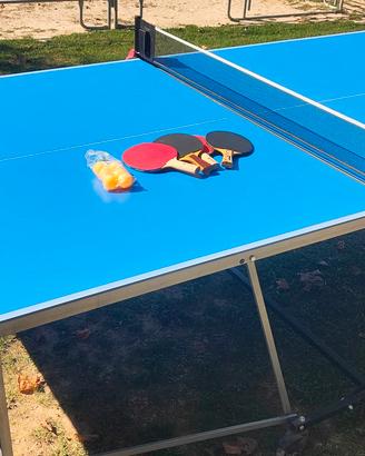 ping pong Artengo perfetto