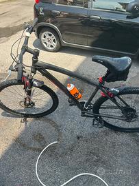 Mountain bike casadei e bici da donna