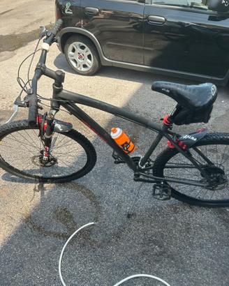 Mountain bike casadei e bici da donna