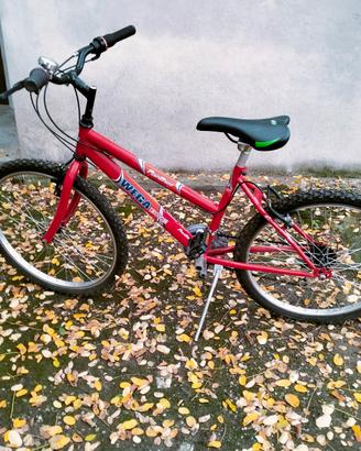 Bicicletta Mountain bike bimbo
