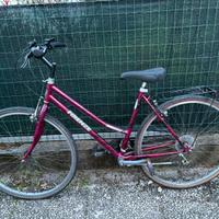 bicicletta da donna