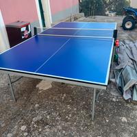 Ping pong professionale da esterno