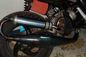 marmitta malossi mhr 