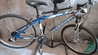 bicicletta da ragazzo