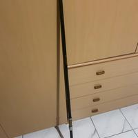 canna da pesca