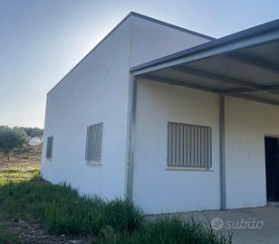 Casa in campagna zona Montaperto