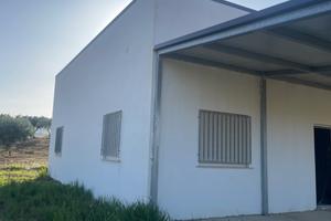 Casa in campagna zona Montaperto