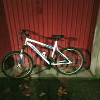 Mountain-bike