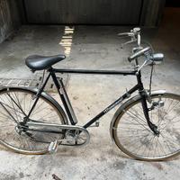 Bicicletta Rossognoli