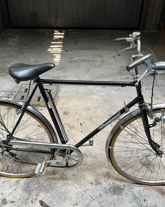 Bicicletta Rossognoli