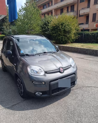 Panda hybrid 1.0