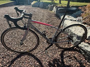 Specialized dolce