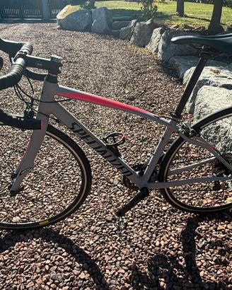 Specialized dolce