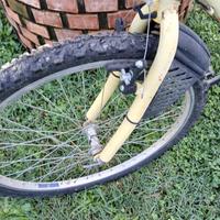 bicicletta usata