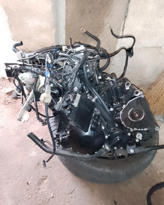 motore Triumph Tiger 1050