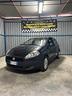 fiat-punto-evo-1-2-neopatentati