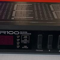 Digital Delay/ Reverb