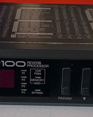 Digital Delay/ Reverb