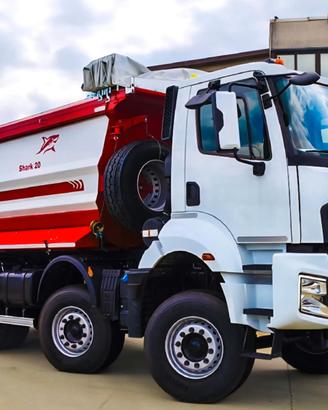 FORD TRUCKS 4445 8x4 RIBALTABILE GERVASI 20 mc
