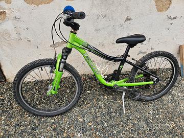 Bici da 20 pollici specialized