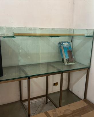 Acquario
