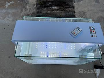 Acquario 55 per 35 per 32 cm