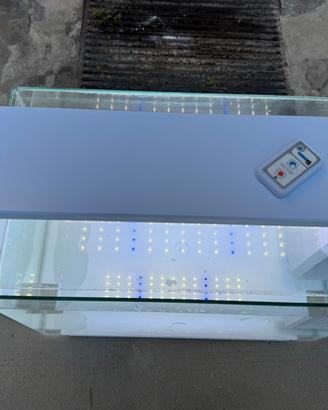 Acquario 55 per 35 per 32 cm
