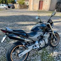 Honda hornet 600