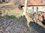 Immagine 24