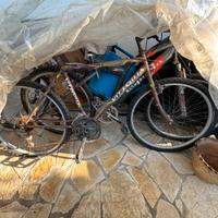 Bici mtb