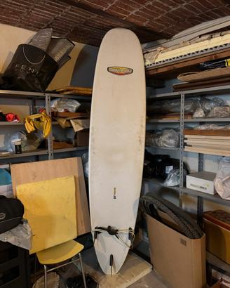 Tavola da surf South Point (modello Bonga Perkins)