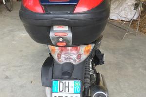 Malaguti Password 250 - 2008