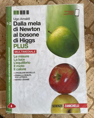 Dalla mela di newton al bosone di higgs 1/2