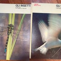 Libri- gli insetti e gli uccelli