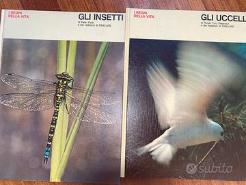 Libri- gli insetti e gli uccelli