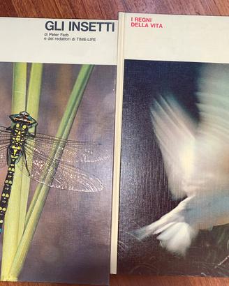 Libri- gli insetti e gli uccelli