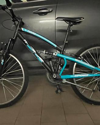 Bicicletta da Paese/Città