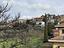 Immagine 19