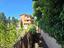 Immagine 8
