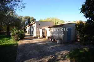 Terreno Agricolo a Alghero