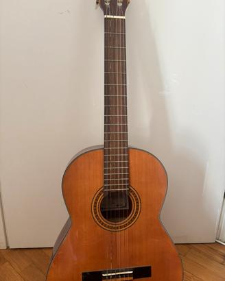 Chitarra Toledo e la custodia insieme