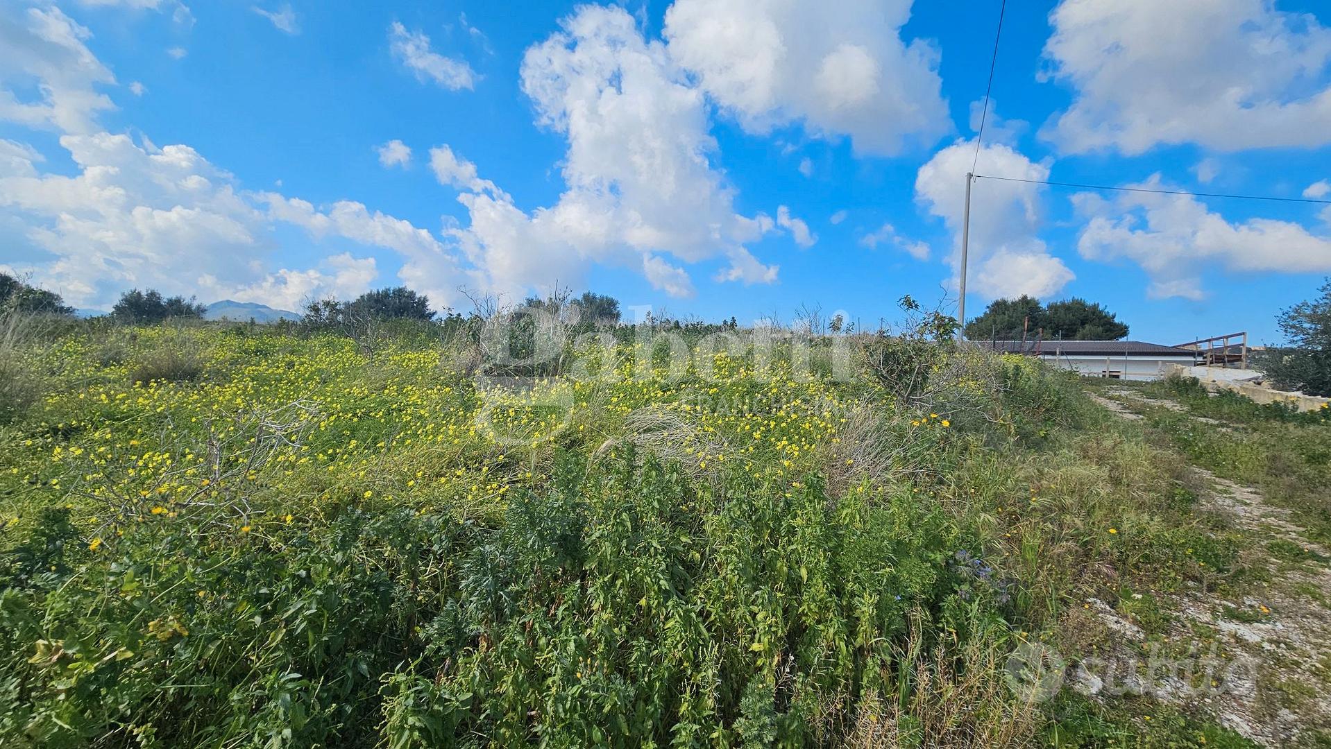 Terreno agricolo vicino autostrada Ter/56 - Vista 5