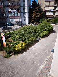 Bari, Ufficio Tutto Incluso